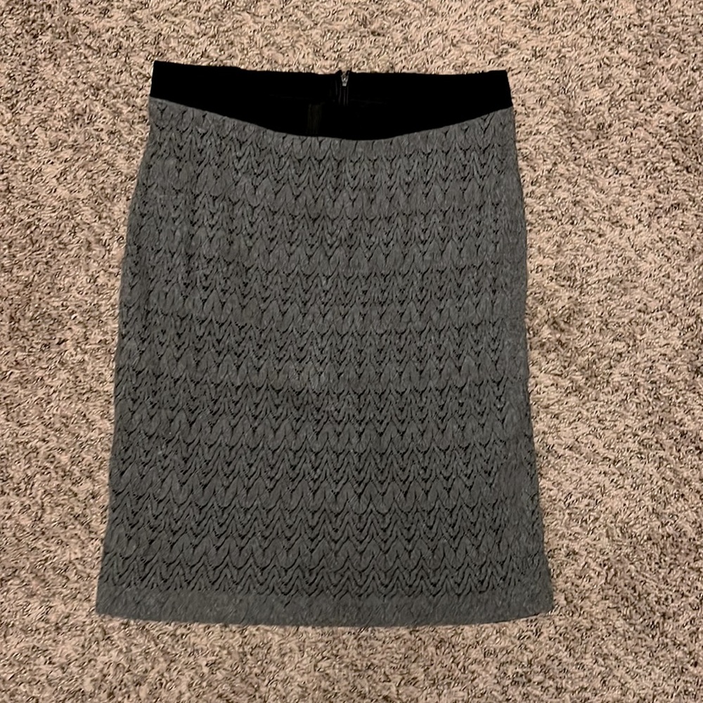 Ann Taylor Women’s Skirt